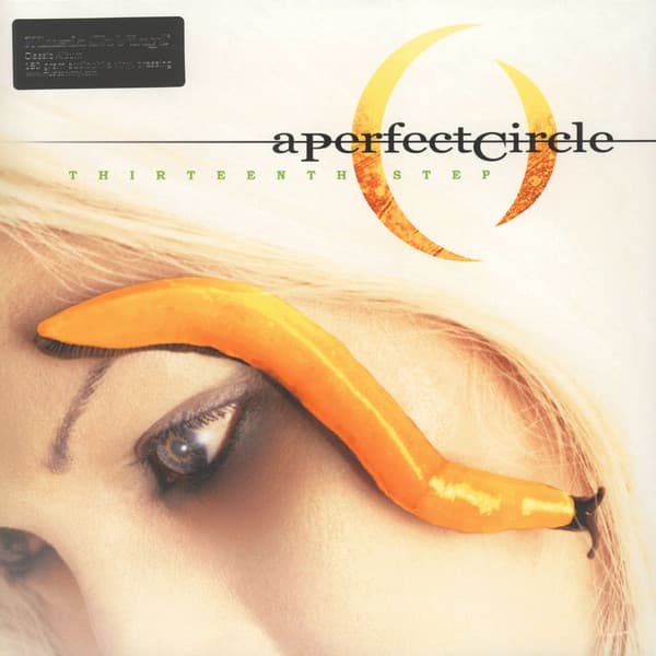 A Perfect Circle — Thirteenth Step