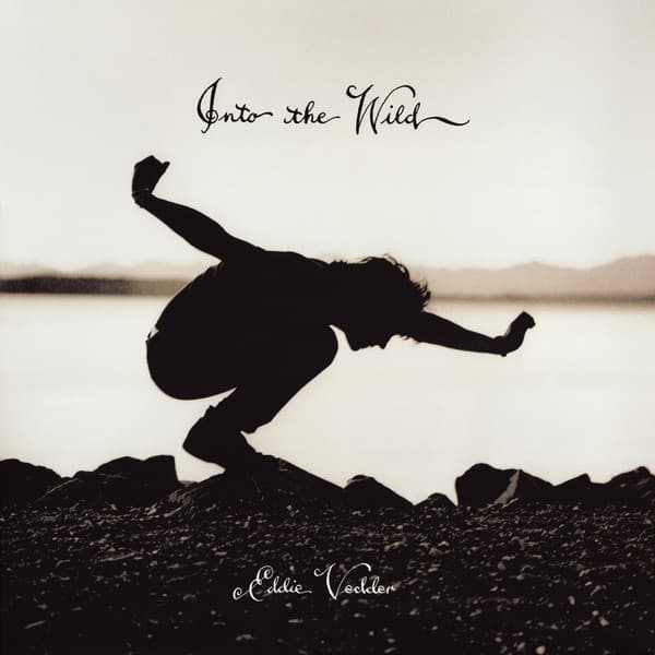 Eddie Vedder — Into The Wild