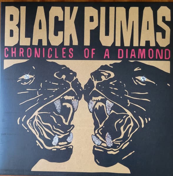 Black Pumas — Chronicles Of A Diamond