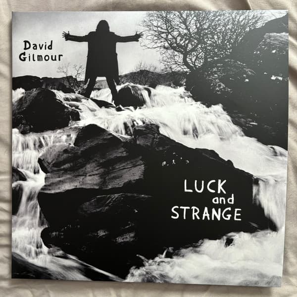David Gilmour — Luck And Strange