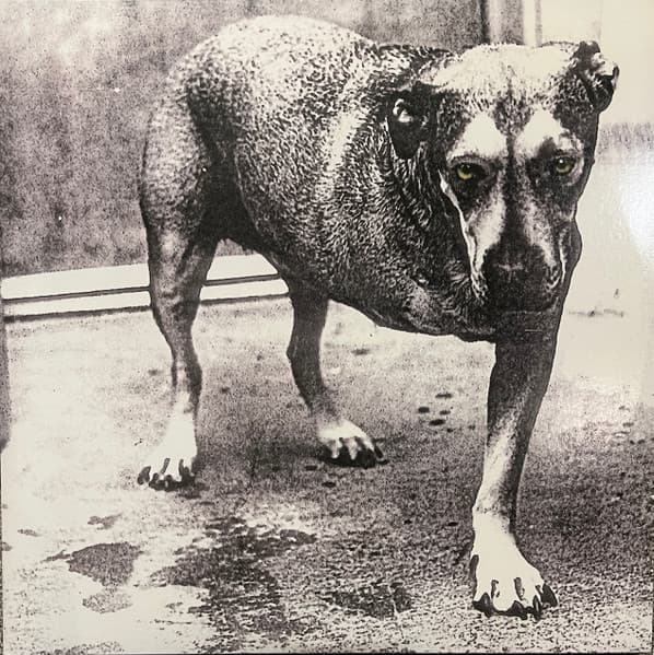 Alice In Chains — Alice In Chains