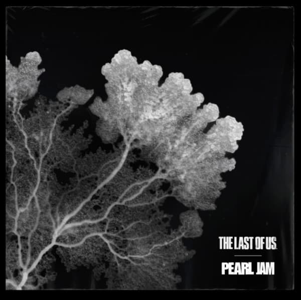 Pearl Jam — The Last Of Us